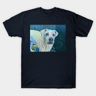 Puppy eyes T-Shirt